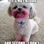 Just because he looks cute... | FIRST OF ALL - IT'S NOT BLOOD; AND SECOND - I DON'T KNOW WHERE THE CAT IS | image tagged in shih tzu lipstick,memes,dog,cat | made w/ Imgflip meme maker