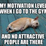 Sleepy dog | MY MOTIVATION LEVEL WHEN I GO TO THE GYM AND NO ATTRACTIVE PEOPLE ARE THERE | image tagged in sleepy dog | made w/ Imgflip meme maker