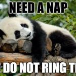 sleeping panda | NEED A NAP; PLZ DO NOT RING TREE | image tagged in sleeping panda | made w/ Imgflip meme maker