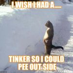 I wish I had a dick.... So I could pee outside | I WISH I HAD A..... TINKER SO I COULD PEE OUT SIDE | image tagged in cats | made w/ Imgflip meme maker
