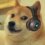 Doge cs go