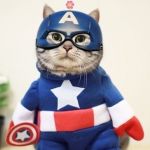 captain americat | I MEOW FOR HOPE. | image tagged in captain americat | made w/ Imgflip meme maker