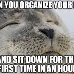 Satisfied Seal | WHEN YOU ORGANIZE YOUR DESK; AND SIT DOWN FOR THE FIRST TIME IN AN HOUR | image tagged in satisfied seal | made w/ Imgflip meme maker