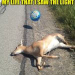 Check Out The Balloon... | FINALLY GOT TO THE POINT IN MY LIFE THAT I SAW THE LIGHT; AND THEN IT HIT ME | image tagged in deer caught in headlights,see the light,memes,funny | made w/ Imgflip meme maker