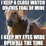 Foal Of Mine | I KEEP A CLOSE WATCH ON THIS FOAL OF MINE I KEEP MY EYES WIDE OPEN ALL THE TIME | image tagged in memes,foal of mine | made w/ Imgflip meme maker