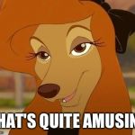 That's Quite Amusin' | THAT'S QUITE AMUSIN'! | image tagged in dixie smiling,memes,disney,the fox and the hound 2,reba mcentire,dog | made w/ Imgflip meme maker