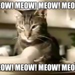 Meow Mix | MEOW! MEOW! MEOW! MEOW! MEOW! MEOW! MEOW! MEOW! | image tagged in cat telephone,memes,meow mix,grey tabby,cute | made w/ Imgflip meme maker