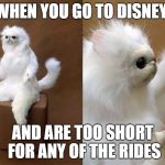 Persian Cat Room Guardian | WHEN YOU GO TO DISNEY; AND ARE TOO SHORT FOR ANY OF THE RIDES | image tagged in persian cat room guardian | made w/ Imgflip meme maker