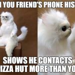 Persian Cat Room Guardian | WHEN YOU FRIEND'S PHONE HISTORY; SHOWS HE CONTACTS PIZZA HUT MORE THAN YOU | image tagged in persian cat room guardian | made w/ Imgflip meme maker