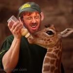 Trey Anastasio
