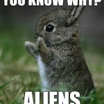 Cute Bunny | YOU KNOW WHY? ALIENS | image tagged in cute bunny | made w/ Imgflip meme maker