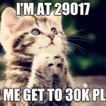 Cute Cat Praying | I'M AT 29017; HELP ME GET TO 30K PLEASE | image tagged in cute cat praying | made w/ Imgflip meme maker