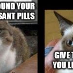 grumpy cat and high cat | GUESS WHO FOUND YOUR ANTI- DEPRESSANT PILLS; GIVE THOSE BACK YOU LITTLE ASSHAT | image tagged in grumpy cat and high cat | made w/ Imgflip meme maker