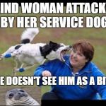 Ace Biting A Face | BLIND WOMAN ATTACKED BY HER SERVICE DOG; SHE DOESN'T SEE HIM AS A BITER | image tagged in dog,bite,blind,memes,pun,funny | made w/ Imgflip meme maker