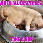 sleeping puppy | WHEN ALL ELSE FAILS... TAKE A NAP | image tagged in sleeping puppy | made w/ Imgflip meme maker