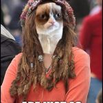 More from the college grumpy cat! | YOUR POLITICAL VALUES; ARE JUST AS BAD AS ANYONE'S | image tagged in college grumpy cat | made w/ Imgflip meme maker