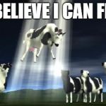 Cows flying  | I BELIEVE I CAN FLY | image tagged in cows flying | made w/ Imgflip meme maker