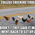 Cock road chickens | WHY DID THE COLLEGE CHICKENS CROSS THE ROAD? THEY DIDN'T... THEY SAID IT WAS TO SCARY AND WENT BACK TO SET UP A SAFE ZONE | image tagged in cock road chickens | made w/ Imgflip meme maker
