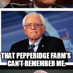 Bad Pun Bernie 2 | I'M SO OLD; THAT PEPPERIDGE FARM'S CAN'T REMEMBER ME. | image tagged in badpunbernie,pepperidge farms remembers,funny,old | made w/ Imgflip meme maker