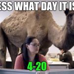 happy 420 yall | GUESS WHAT DAY IT IS?? 4-20 | image tagged in hump day | made w/ Imgflip meme maker