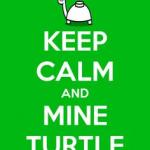 Mine turtle  meme