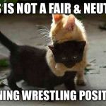 TEACHING BEGINNERS TO WRESTLE | THIS IS NOT A FAIR & NEUTRAL; OPENING WRESTLING POSITION! | image tagged in kittenhugs,wrestling | made w/ Imgflip meme maker