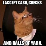 Lawyer cat | I ACCEPT CASH, CHECKS, AND BALLS OF YARN. | image tagged in lawyer cat | made w/ Imgflip meme maker
