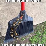 Centi-Nope | I WAS GONNA DO YARD WORK TODAY; BUT MY NOPE INSTINCTS KICKED IN | image tagged in centi-nope | made w/ Imgflip meme maker