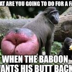 baboon | WHAT ARE YOU GOING TO DO FOR A FACE; WHEN THE BABOON WANTS HIS BUTT BACK? | image tagged in baboon,butt,memes | made w/ Imgflip meme maker