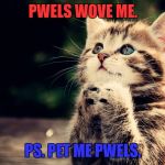 cute cat | PWELS WOVE ME. PS. PET ME PWELS. | image tagged in cute cat | made w/ Imgflip meme maker