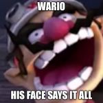 Wario | WARIO; HIS FACE SAYS IT ALL | image tagged in wario | made w/ Imgflip meme maker