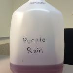 Purple Rain | TIME TO PUT THIS; ON EBAY | image tagged in purple rain | made w/ Imgflip meme maker