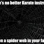 Slaps of fury | There's no better Karate instructor, then a spider web in your face. | image tagged in spider web | made w/ Imgflip meme maker