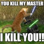 stupid cats | YOU KILL MY MASTER; I KILL YOU!! | image tagged in stupid cats | made w/ Imgflip meme maker