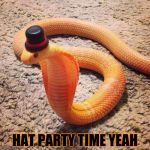 Bourgeois_Snake | HAT PARTY TIME YEAH | image tagged in bourgeois_snake | made w/ Imgflip meme maker
