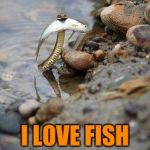 Snake | I LOVE FISH I LOVE FISHYS | image tagged in snake | made w/ Imgflip meme maker
