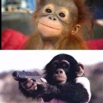 monkey moods | MY SON AS A BABY; MY SON AS A TODDLER | image tagged in monkey moods | made w/ Imgflip meme maker