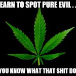Marajuana Leaf | LEARN TO SPOT PURE EVIL . . . DO YOU KNOW WHAT THAT SHIT DOES? | image tagged in marajuana leaf | made w/ Imgflip meme maker