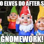 gnomes | WHAT DO ELVES DO AFTER SCHOOL? GNOMEWORK! | image tagged in gnomes | made w/ Imgflip meme maker