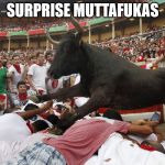 surprise bull | SURPRISE MUTTAFUKAS | image tagged in bull surprise | made w/ Imgflip meme maker