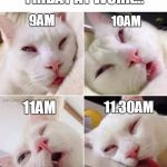 Bored cat | FRIDAY AT WORK... 9AM; 10AM; 11AM; 11.30AM | image tagged in bored cat,friday | made w/ Imgflip meme maker