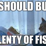 Cat Priorities | I SHOULD BUY; PLENTY OF FISH | image tagged in i should buy a boat cat,memes | made w/ Imgflip meme maker