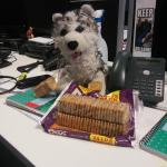 Horatio_Biscuits