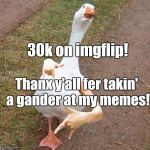 swagger goose | 30k on imgflip! Thanx y'all fer takin' a gander at my memes! | image tagged in swagger goose | made w/ Imgflip meme maker