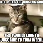 The Tuna Company | HELLO, IS THIS THE TUNA COMPANY? YES, I WOULD LOVE TO SUBSCRIBE TO TUNA WEEKLY. | image tagged in cat telephone,memes,tabby cat,meow mix,grey tabby,cat food | made w/ Imgflip meme maker