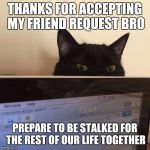 stalkercat | THANKS FOR ACCEPTING MY FRIEND REQUEST BRO; PREPARE TO BE STALKED FOR THE REST OF OUR LIFE TOGETHER | image tagged in stalkercat | made w/ Imgflip meme maker