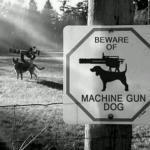 Machine Gun Dog meme