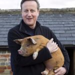 David Cameron | I'M PIGGIN; DODGY AS THE EU | image tagged in david cameron | made w/ Imgflip meme maker