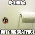 Bathroom Peeping Tom | IS THAT A; BOATY MCBOATFACE? | image tagged in bathroom peeping tom | made w/ Imgflip meme maker