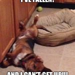 Fallen Dog | I'VE FALLEN! AND I CAN'T GET UP!!! | image tagged in fallen dog | made w/ Imgflip meme maker
